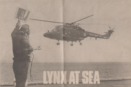 Lynx at Sea